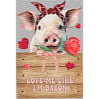 Valentine's Day-QRJ  4179